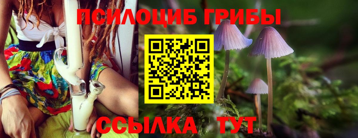 Псилоцибиновые грибы Psilocybine cubensis  Вход с VPN  Отрадное 