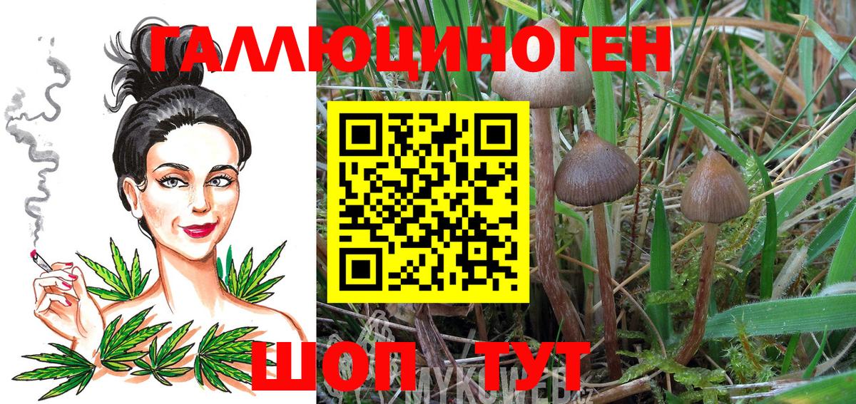 Псилоцибиновые грибы ЛСД Отрадное